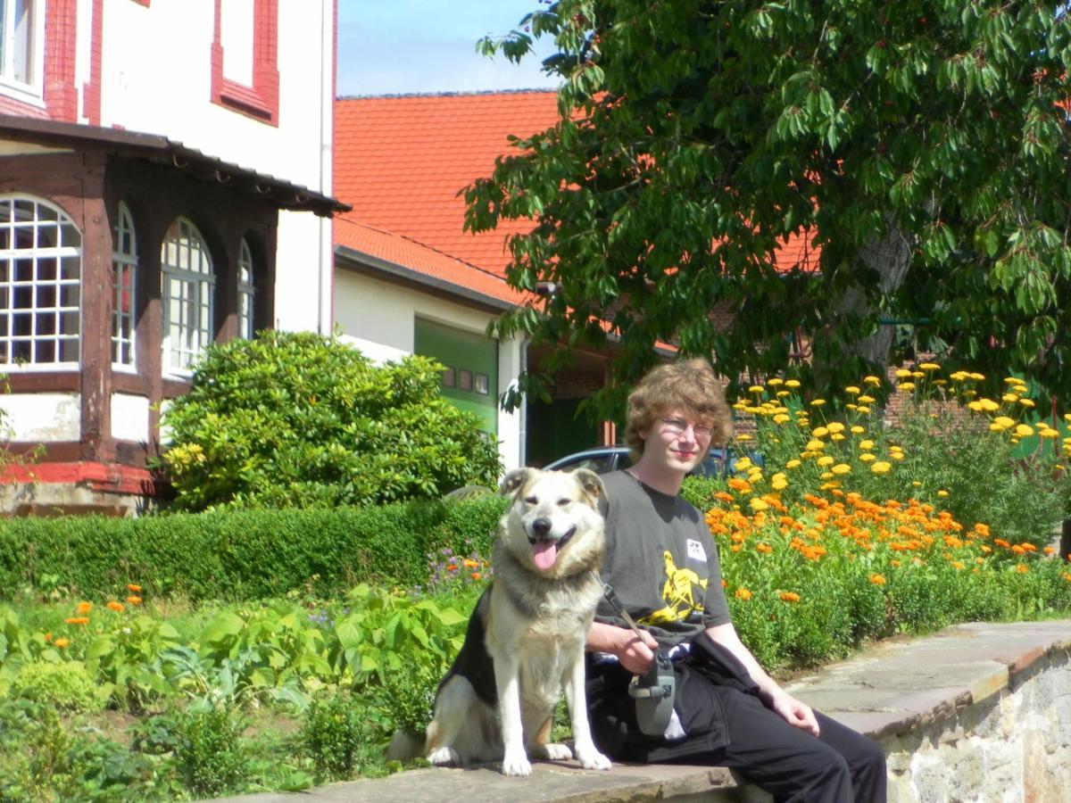 Cosy Flat On A Family Friendly Holiday Farm In Northern Hesse Trendelburg Exterior foto